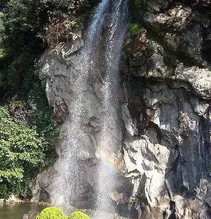 Bordo Trabzon