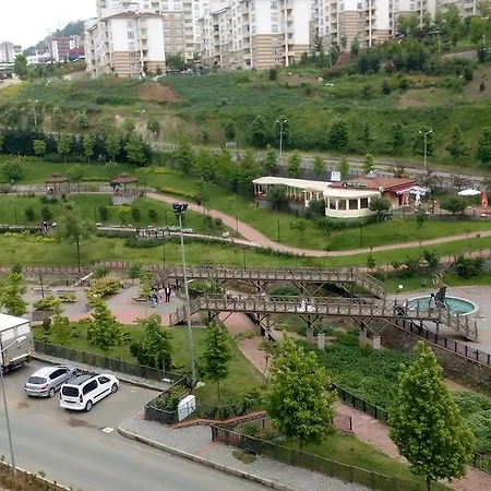 Apartment Bordo