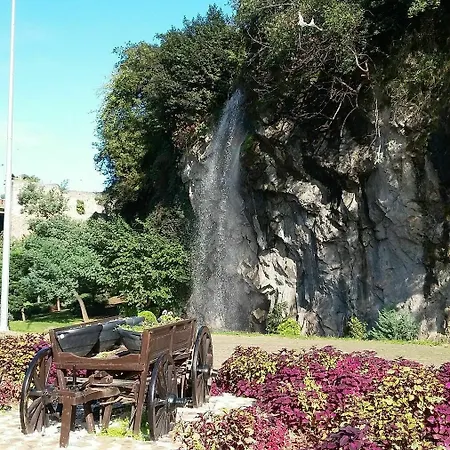 Bordo * Trabzon